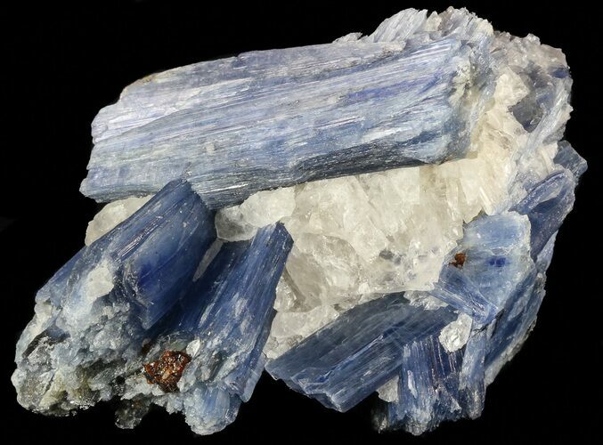 Vibrant Blue Kyanite Crystals In Quartz - Brazil #56933